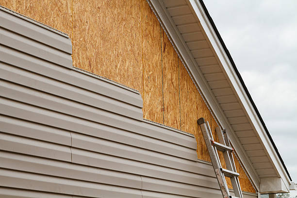Professional Siding Repair technician working in Salem, IL